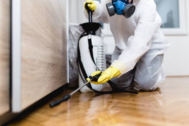 Best Local Pest Control Services  in Gardere, LA