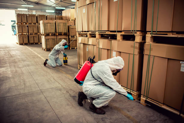 Best Termite Control Services  in Gardere, LA