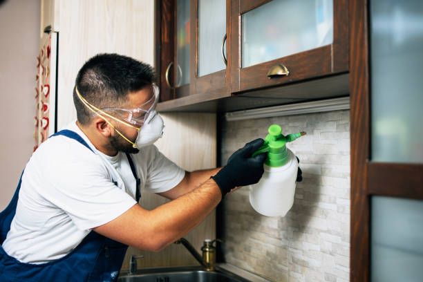 Best Emergency Pest Control  in Gardere, LA