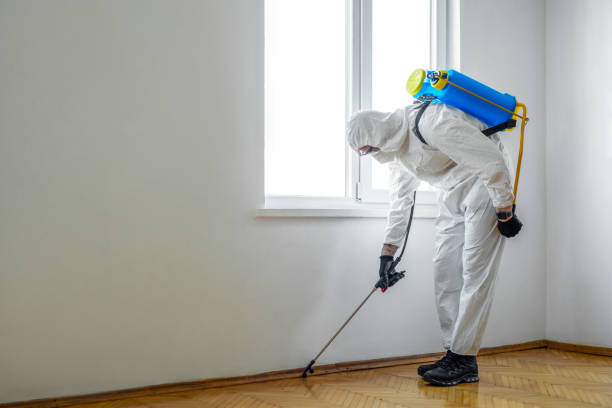 Best Affordable Pest Control Services  in Gardere, LA
